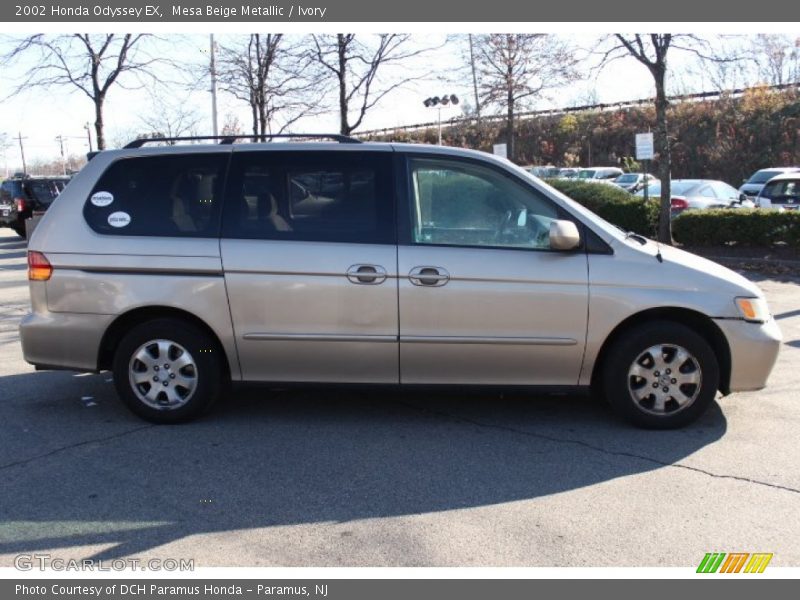 Mesa Beige Metallic / Ivory 2002 Honda Odyssey EX