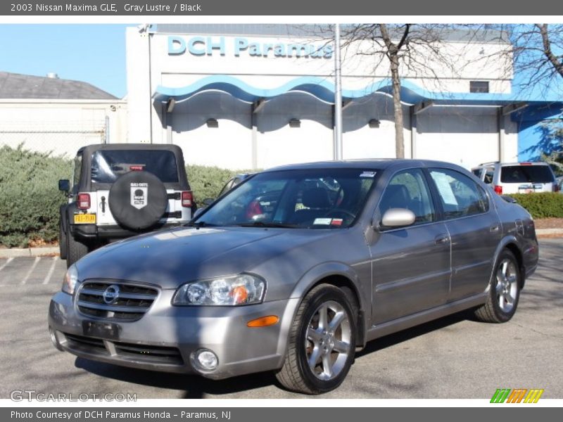Gray Lustre / Black 2003 Nissan Maxima GLE
