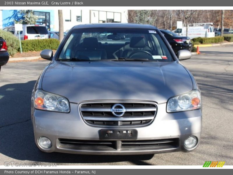 Gray Lustre / Black 2003 Nissan Maxima GLE