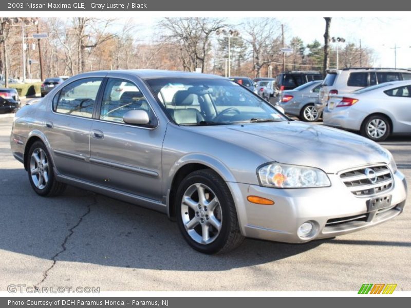 Gray Lustre / Black 2003 Nissan Maxima GLE