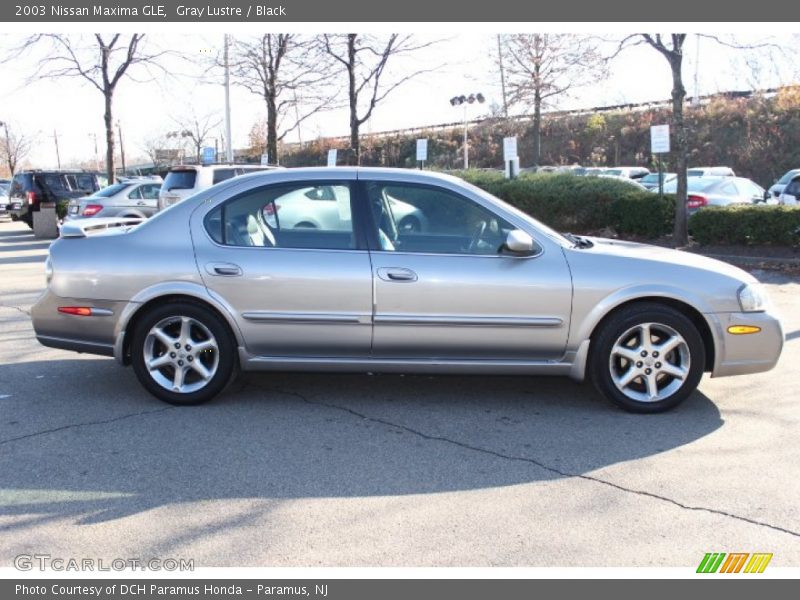 Gray Lustre / Black 2003 Nissan Maxima GLE