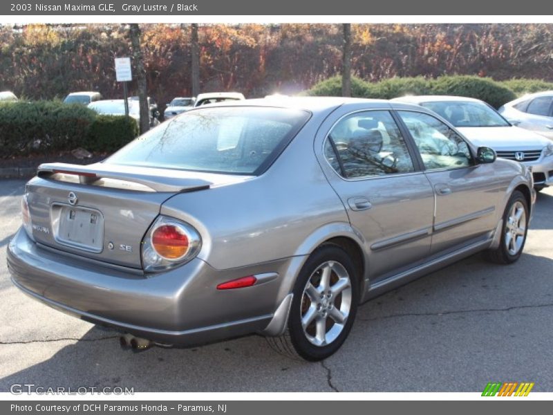 Gray Lustre / Black 2003 Nissan Maxima GLE