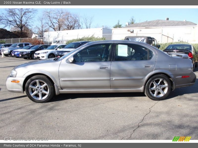 Gray Lustre / Black 2003 Nissan Maxima GLE