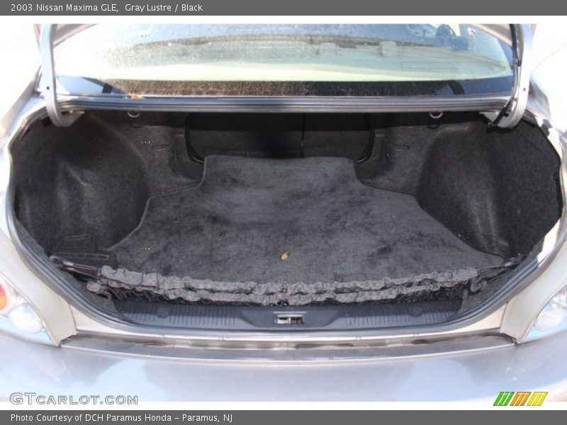 Gray Lustre / Black 2003 Nissan Maxima GLE