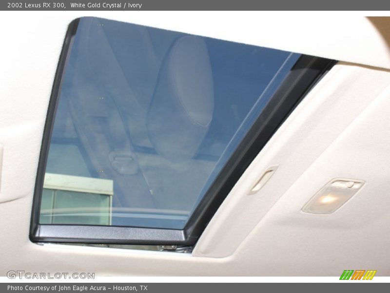 White Gold Crystal / Ivory 2002 Lexus RX 300