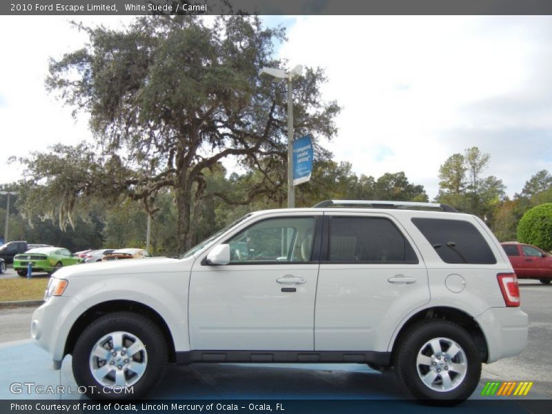 White Suede / Camel 2010 Ford Escape Limited