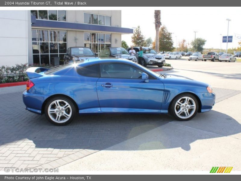 Tidal Wave / Black 2004 Hyundai Tiburon GT