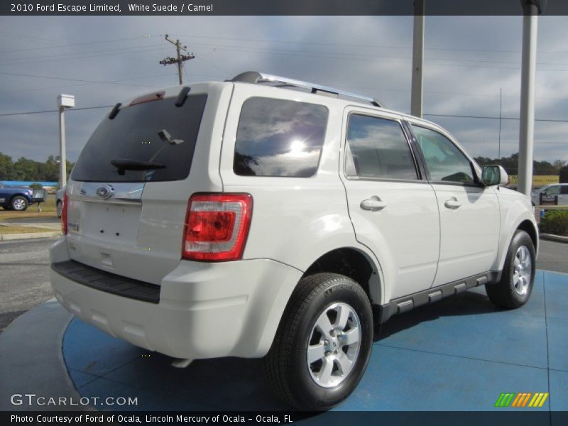 White Suede / Camel 2010 Ford Escape Limited