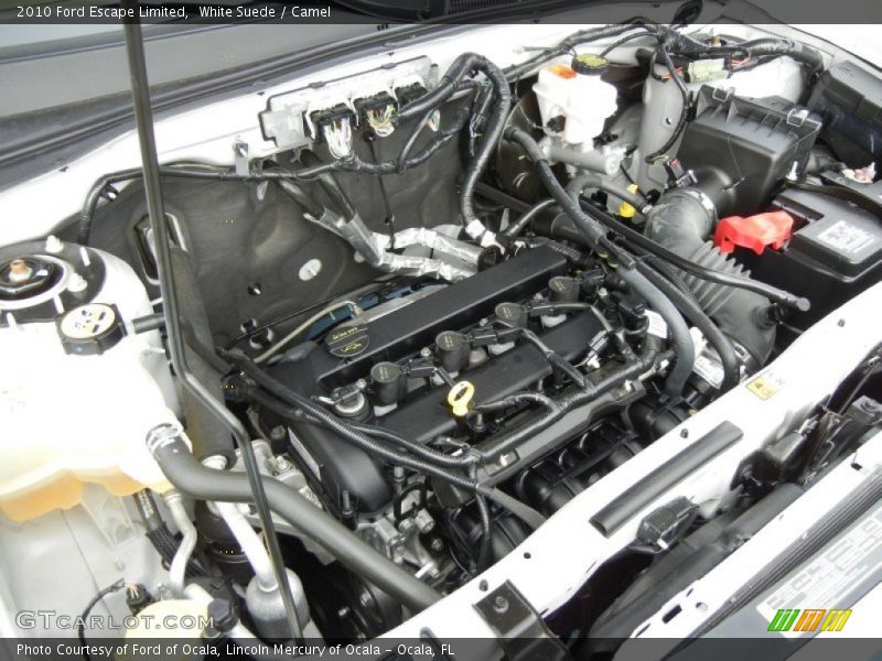 White Suede / Camel 2010 Ford Escape Limited