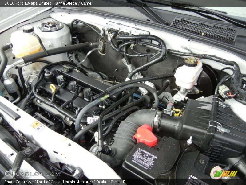 White Suede / Camel 2010 Ford Escape Limited