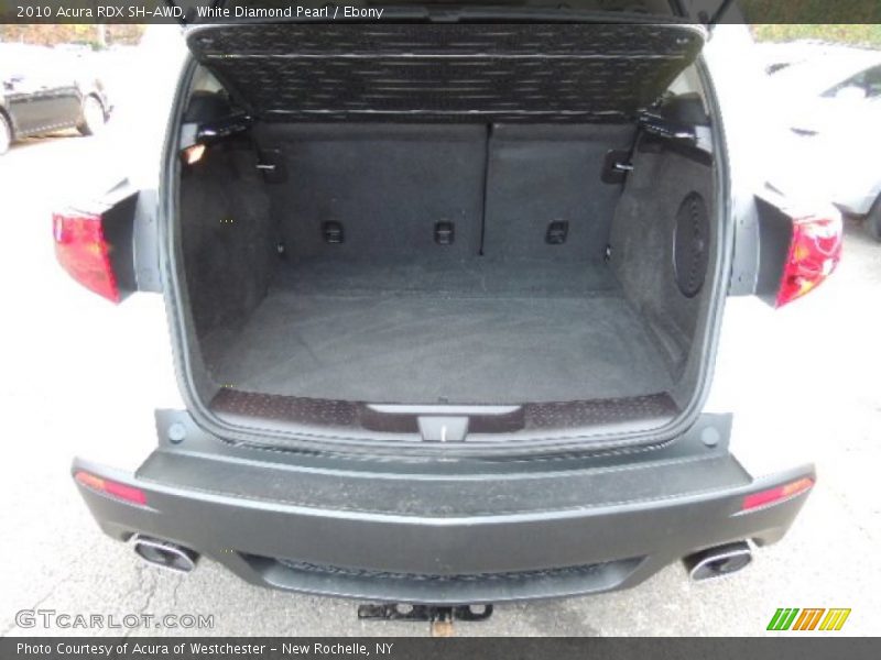 White Diamond Pearl / Ebony 2010 Acura RDX SH-AWD