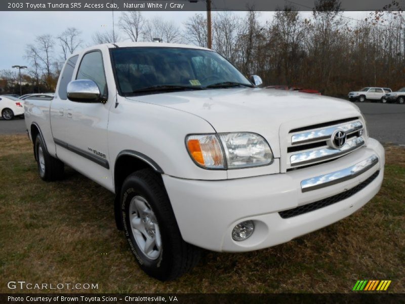 Natural White / Gray 2003 Toyota Tundra SR5 Access Cab