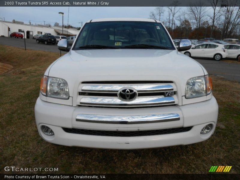 Natural White / Gray 2003 Toyota Tundra SR5 Access Cab