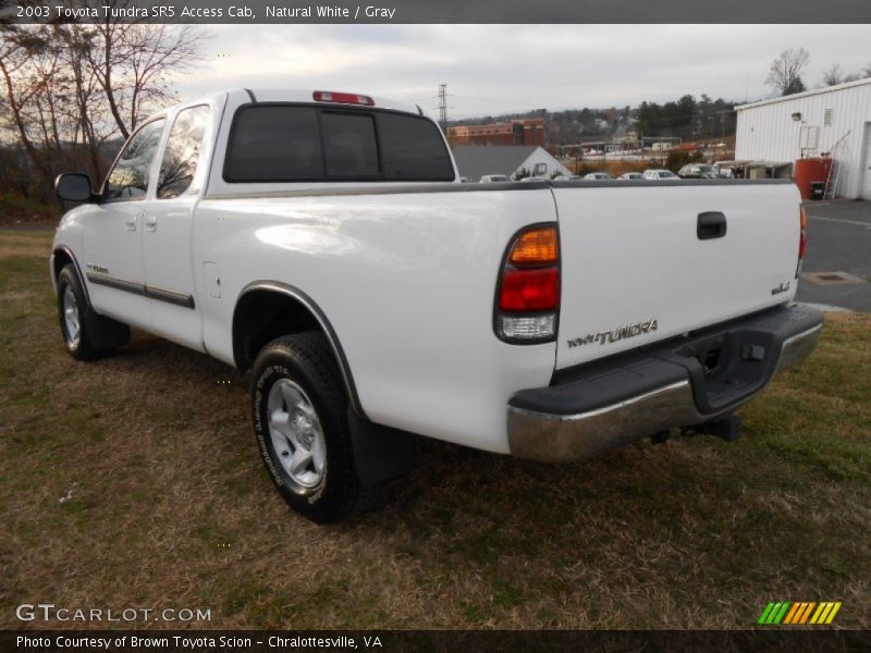 Natural White / Gray 2003 Toyota Tundra SR5 Access Cab