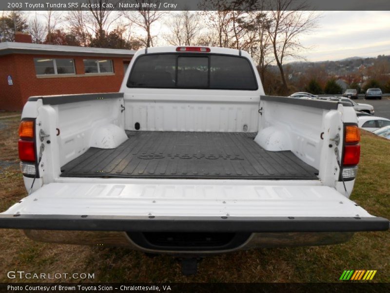 Natural White / Gray 2003 Toyota Tundra SR5 Access Cab