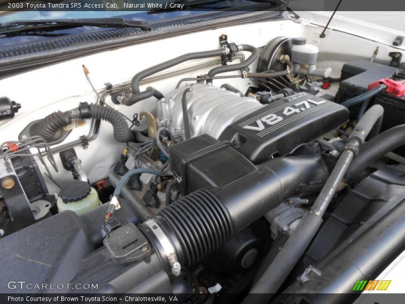 Natural White / Gray 2003 Toyota Tundra SR5 Access Cab