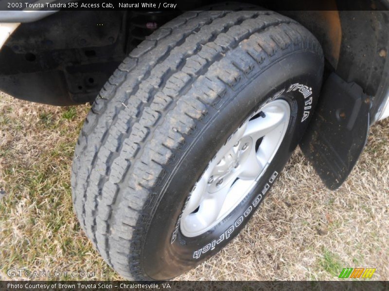 Natural White / Gray 2003 Toyota Tundra SR5 Access Cab