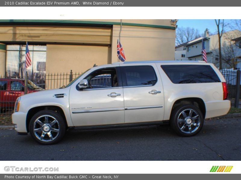 White Diamond / Ebony 2010 Cadillac Escalade ESV Premium AWD