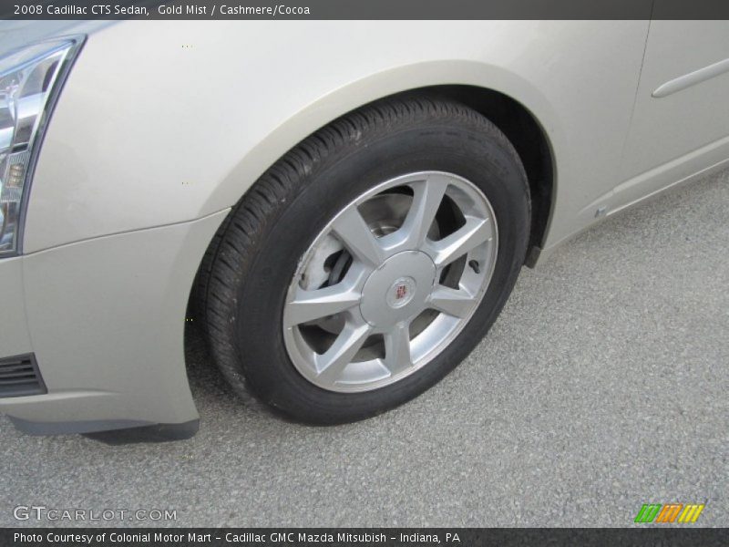 Gold Mist / Cashmere/Cocoa 2008 Cadillac CTS Sedan
