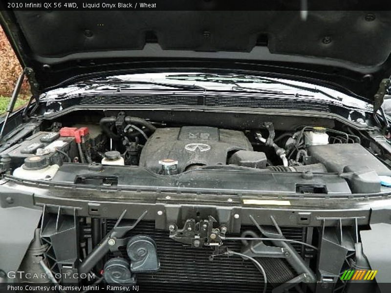 Liquid Onyx Black / Wheat 2010 Infiniti QX 56 4WD
