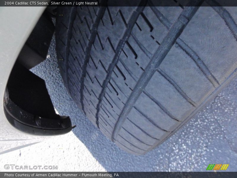 Silver Green / Light Neutral 2004 Cadillac CTS Sedan