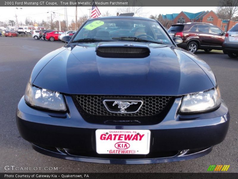 True Blue Metallic / Medium Parchment 2001 Ford Mustang GT Coupe