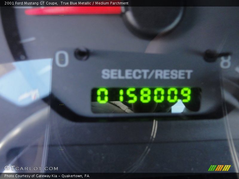True Blue Metallic / Medium Parchment 2001 Ford Mustang GT Coupe