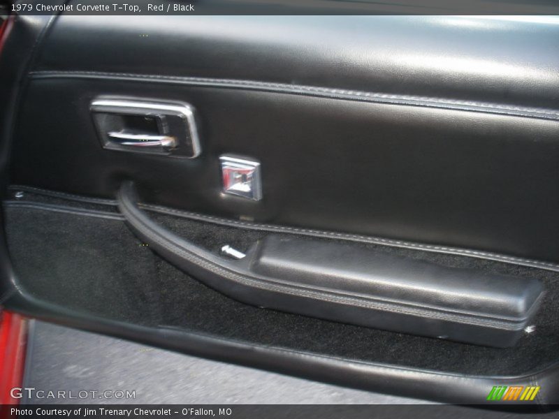 Door Panel of 1979 Corvette T-Top