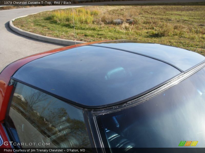 T-Tops - 1979 Chevrolet Corvette T-Top
