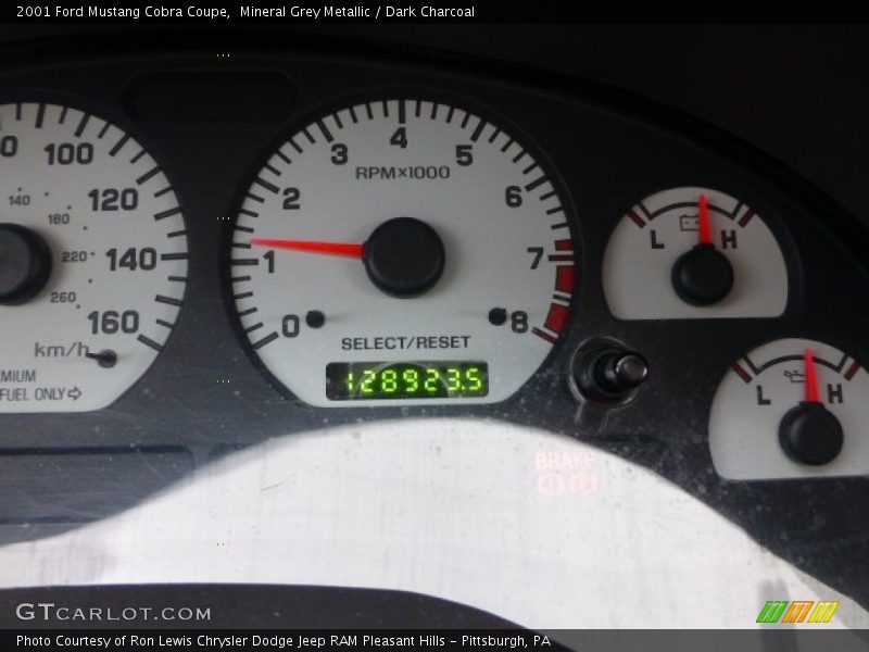 Mineral Grey Metallic / Dark Charcoal 2001 Ford Mustang Cobra Coupe