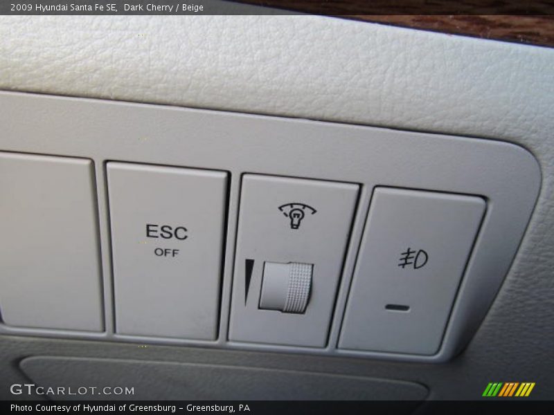 Dark Cherry / Beige 2009 Hyundai Santa Fe SE