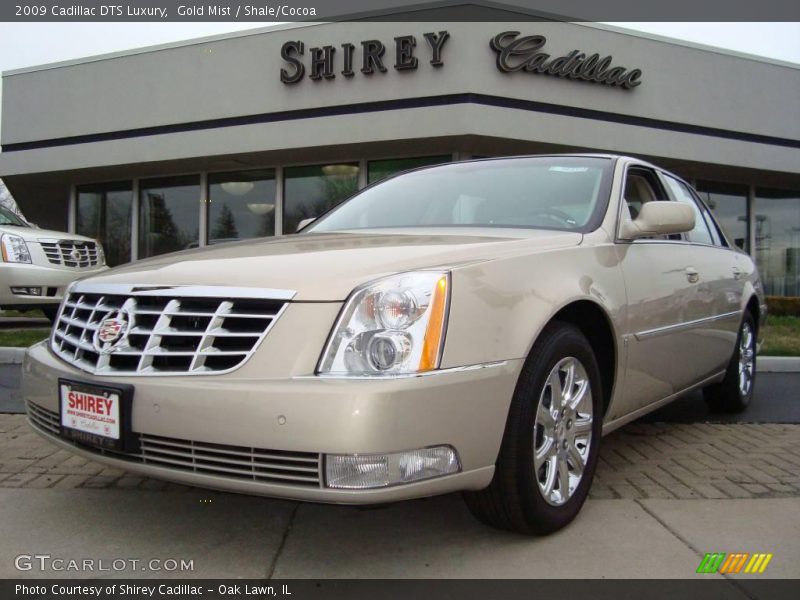 Gold Mist / Shale/Cocoa 2009 Cadillac DTS Luxury