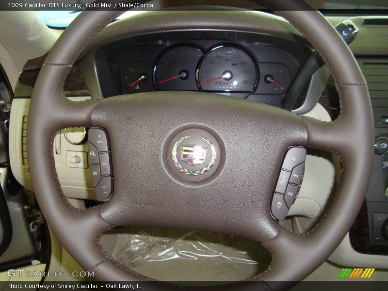 Gold Mist / Shale/Cocoa 2009 Cadillac DTS Luxury