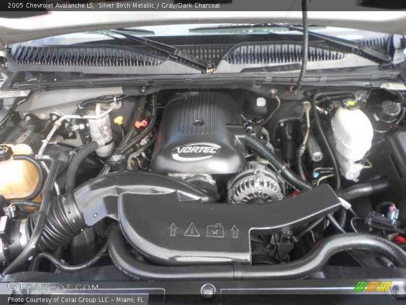Silver Birch Metallic / Gray/Dark Charcoal 2005 Chevrolet Avalanche LS