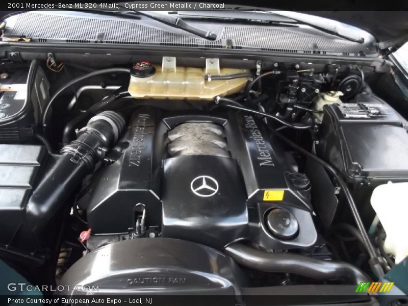Cypress Green Metallic / Charcoal 2001 Mercedes-Benz ML 320 4Matic