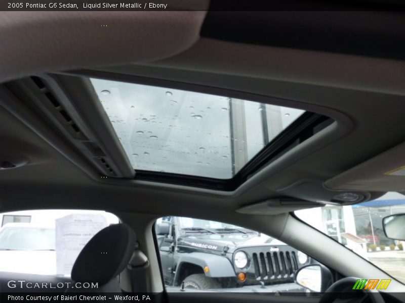 Liquid Silver Metallic / Ebony 2005 Pontiac G6 Sedan