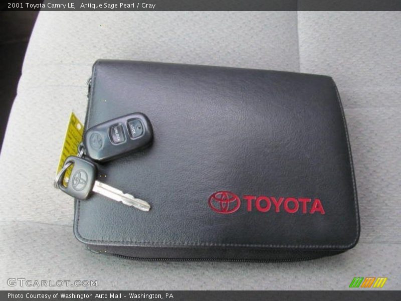 Antique Sage Pearl / Gray 2001 Toyota Camry LE