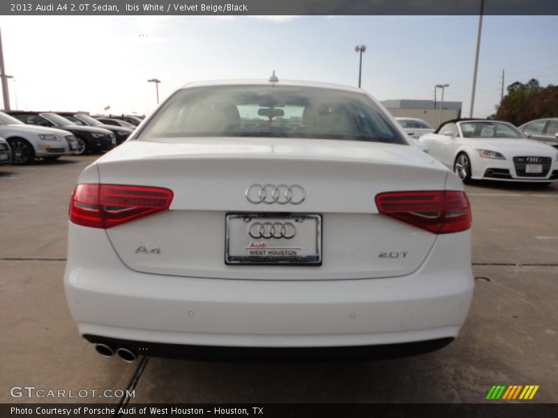 Ibis White / Velvet Beige/Black 2013 Audi A4 2.0T Sedan