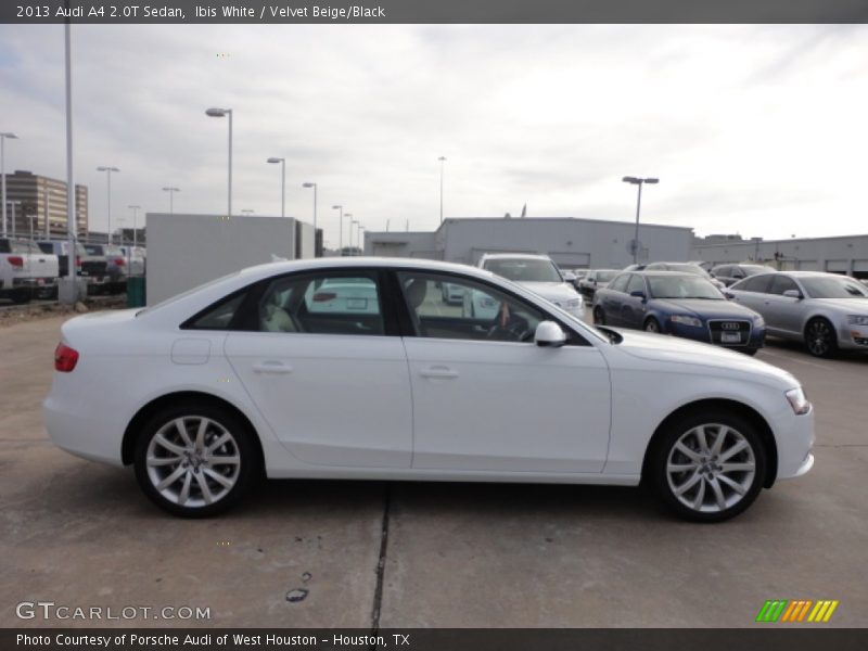 Ibis White / Velvet Beige/Black 2013 Audi A4 2.0T Sedan