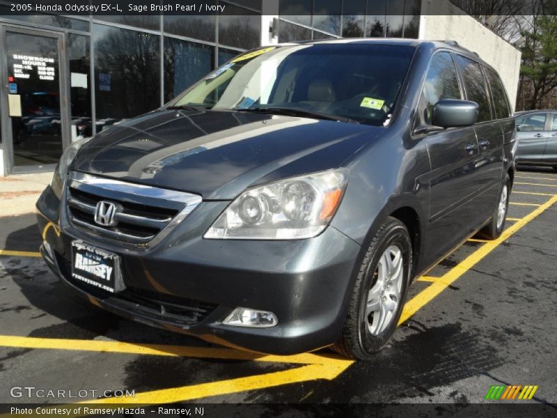 Sage Brush Pearl / Ivory 2005 Honda Odyssey EX-L