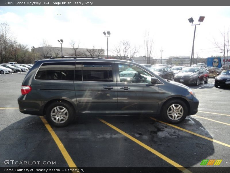 Sage Brush Pearl / Ivory 2005 Honda Odyssey EX-L