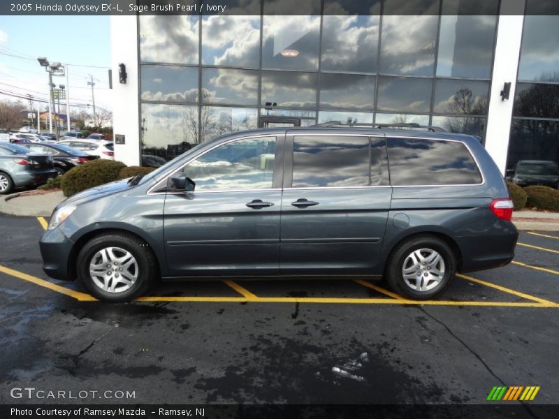Sage Brush Pearl / Ivory 2005 Honda Odyssey EX-L