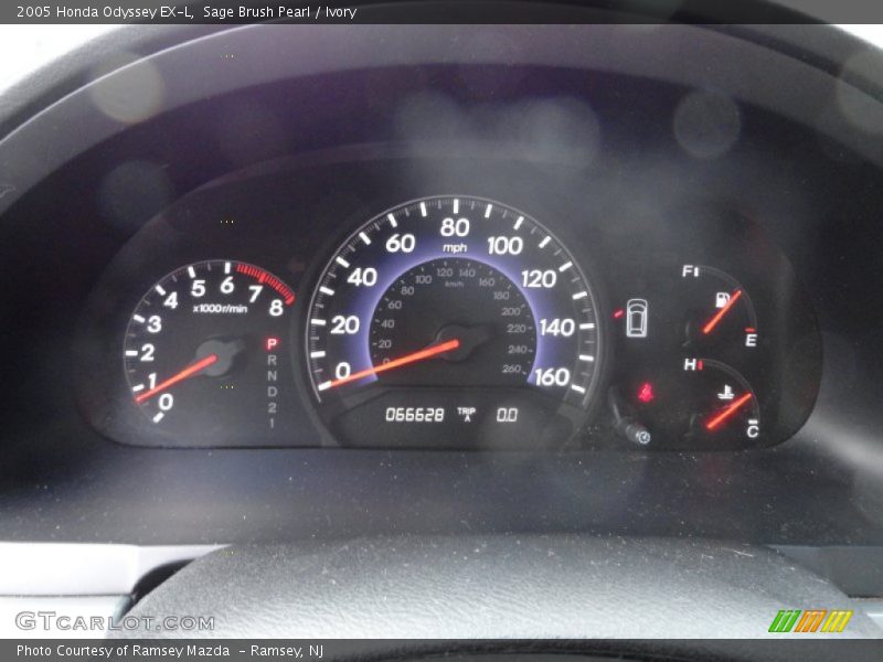 Sage Brush Pearl / Ivory 2005 Honda Odyssey EX-L