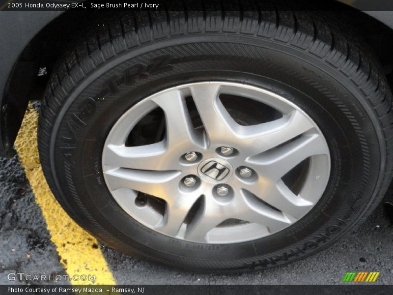 Sage Brush Pearl / Ivory 2005 Honda Odyssey EX-L