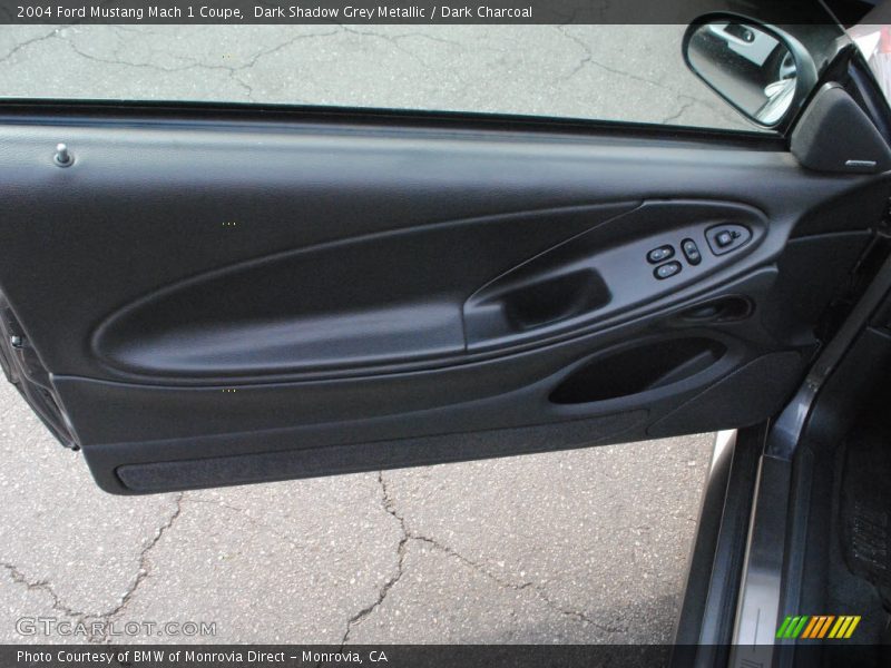 Door Panel of 2004 Mustang Mach 1 Coupe