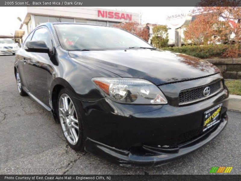 Black Sand Mica / Dark Gray 2005 Scion tC