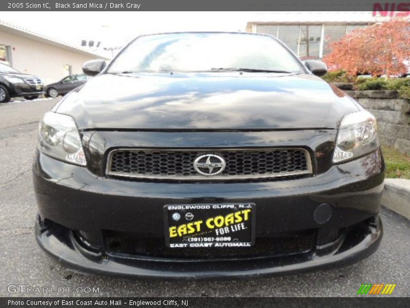 Black Sand Mica / Dark Gray 2005 Scion tC