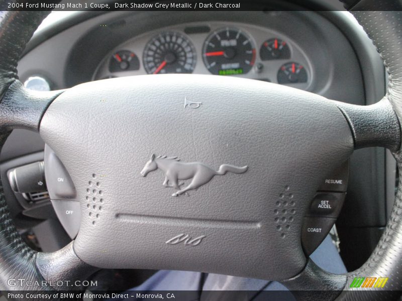 Dark Shadow Grey Metallic / Dark Charcoal 2004 Ford Mustang Mach 1 Coupe