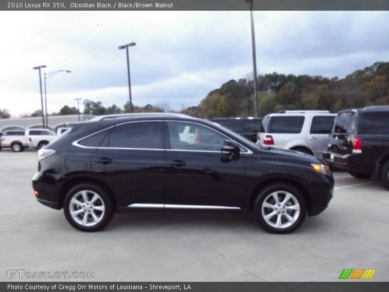 Obsidian Black / Black/Brown Walnut 2010 Lexus RX 350