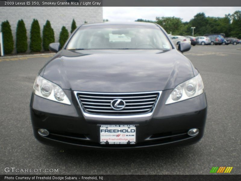 Smokey Granite Mica / Light Gray 2009 Lexus ES 350